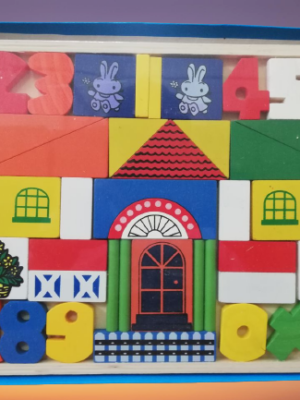 Little Mathematicians Toy Brick Set